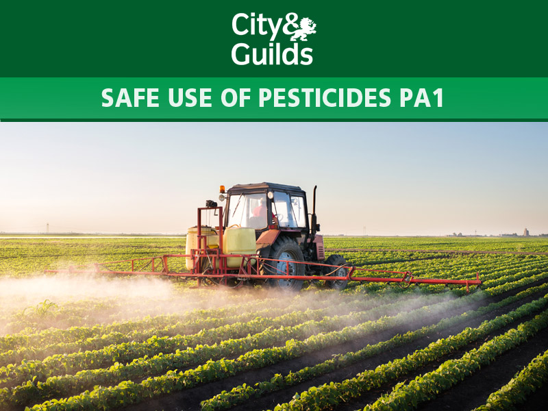 Effective Management & Control of Wasps Course Barrettine